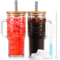 VA1KENE 22oz 2 Piece Glass Tumbler with Lids and Straws Bohemian Glass Drinking Cups with Handle for Juice Tea Smoothies